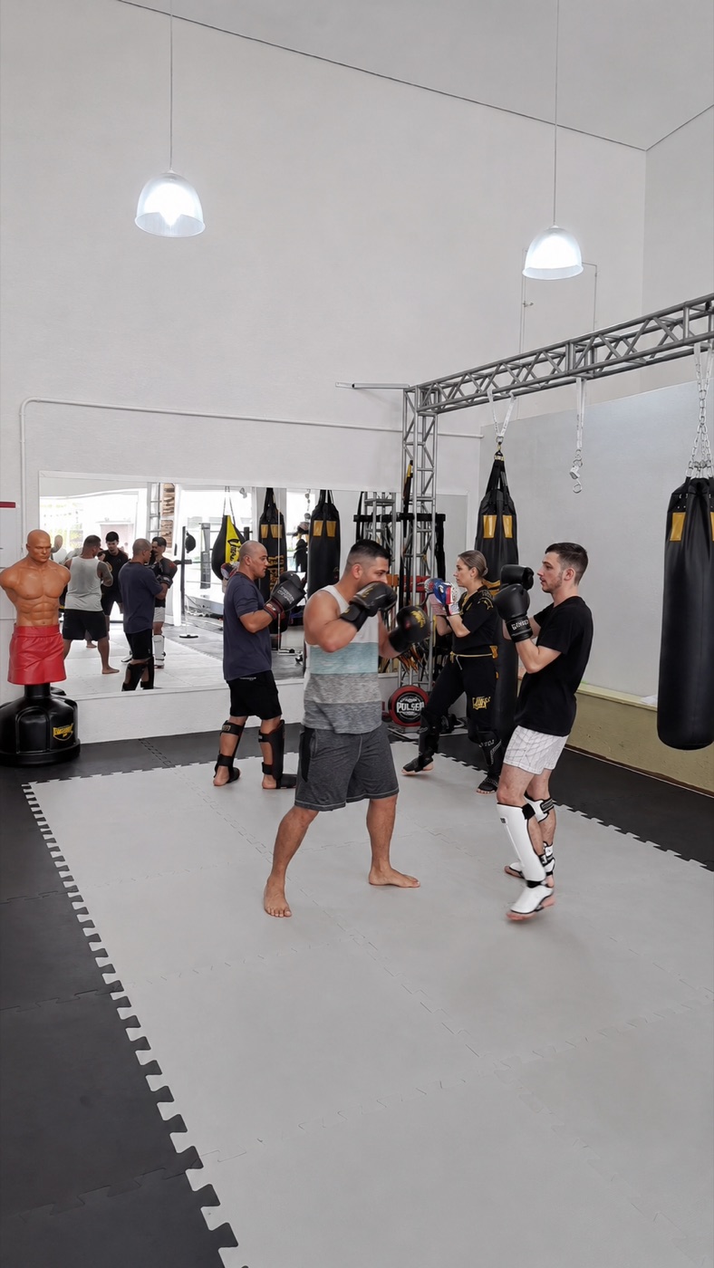Treino